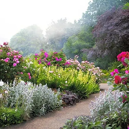 Park Bed and breakfast 3*